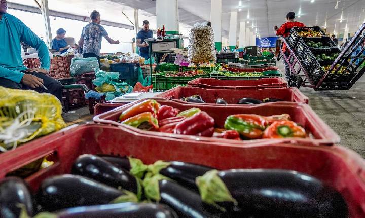 Campanha busca engajamento para reduzir desperdício de alimento