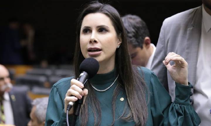 Comissão aprova parâmetros para políticas voltadas a ovinocaprinocultura