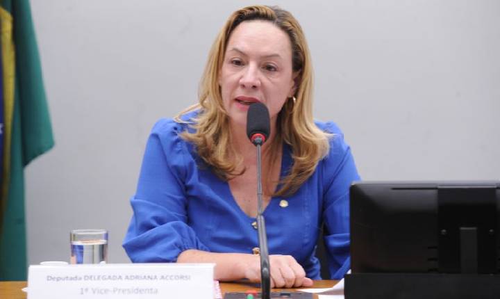 Comissão aprova projeto que permite o afastamento imediato de agressores de crianças