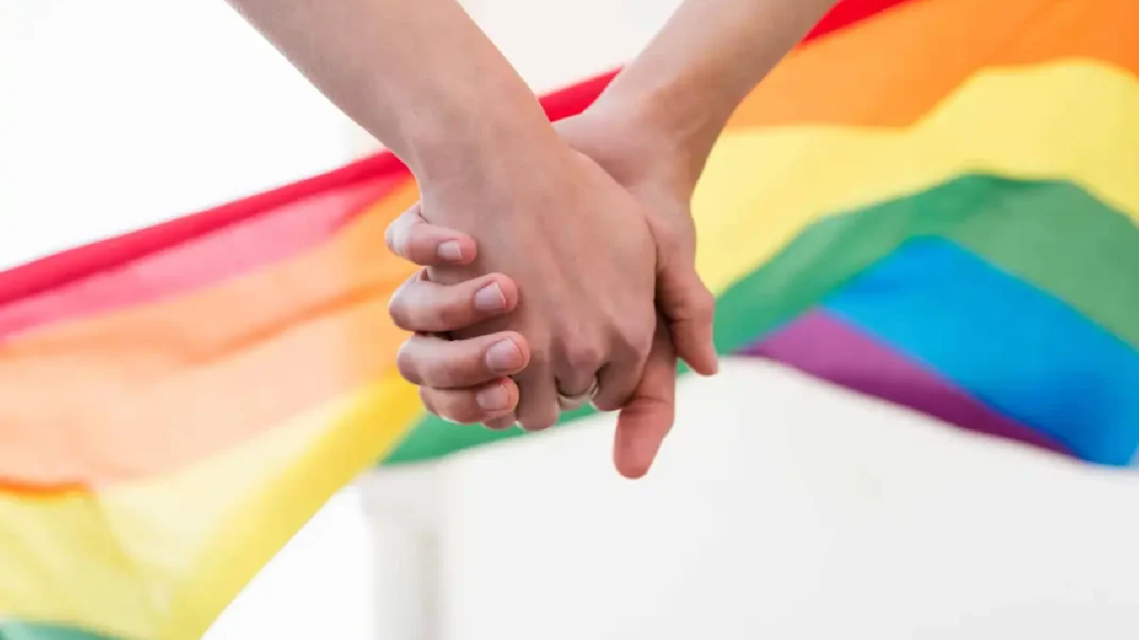 Comissão da Câmara aprova inclusão de casais homoafetivos na Lei Maria da Penha