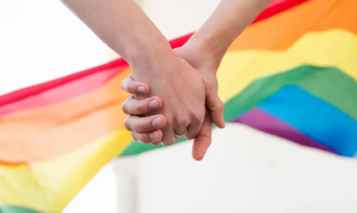 Comissão da Câmara aprova inclusão de casais homoafetivos na Lei Maria da Penha
