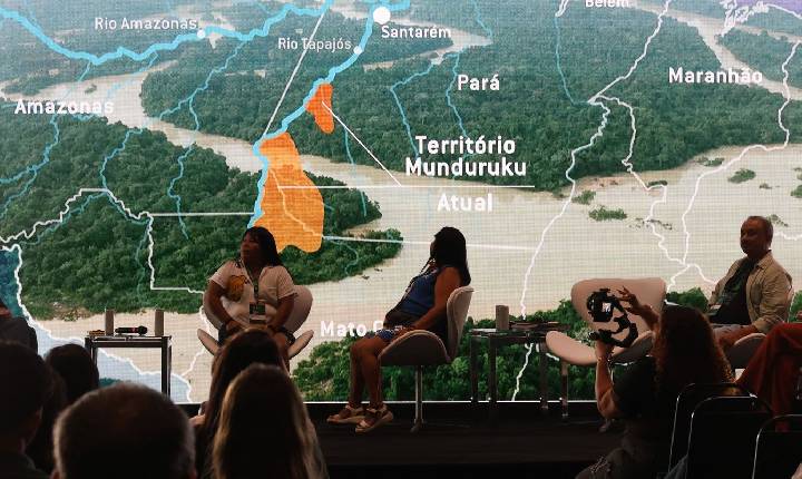 Contaminação por mercúrio coloca gestantes e bebês Munduruku em risco