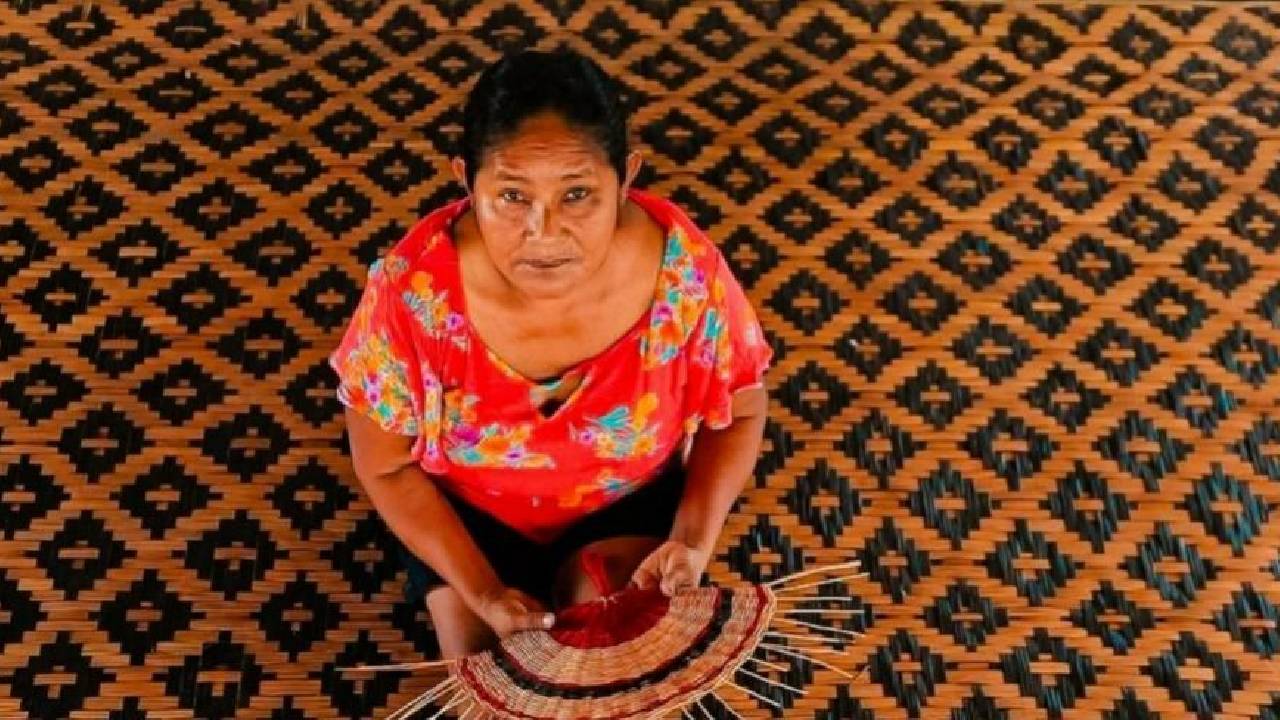 Festival AMÁ conecta saberes amazônicos, inovação e empreendedorismo em Novo Airão