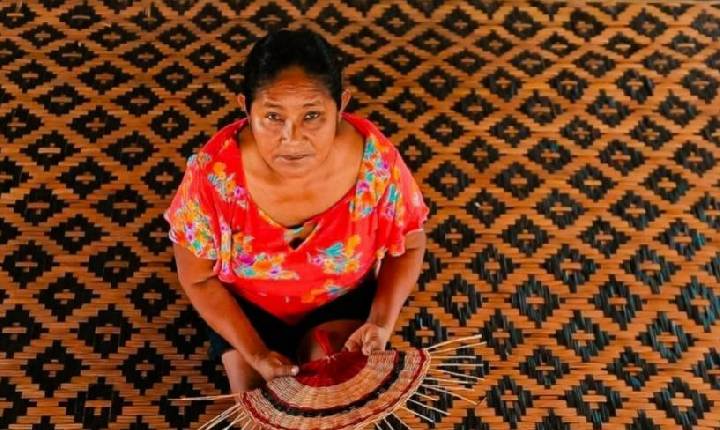 Festival AMÁ conecta saberes amazônicos, inovação e empreendedorismo em Novo Airão