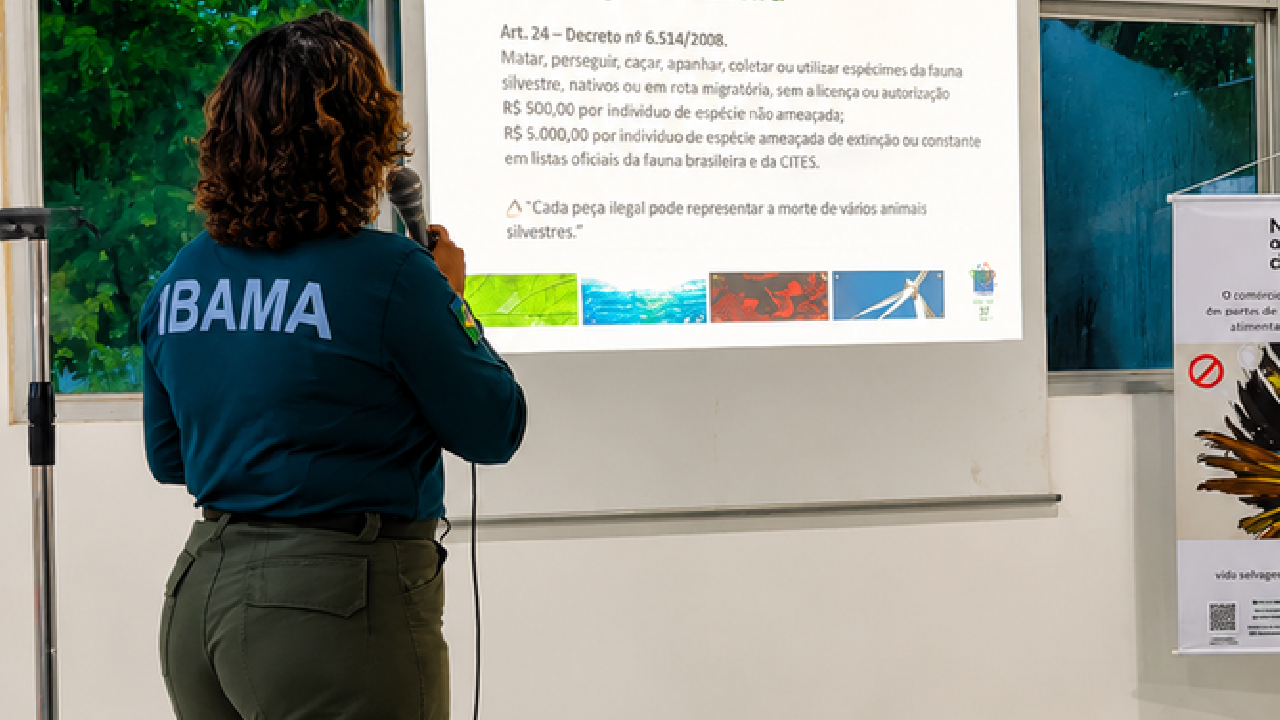 Ibama lança campanha sobre uso ilegal da fauna silvestre