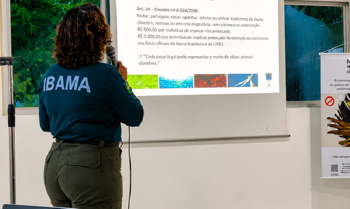 Ibama lança campanha sobre uso ilegal da fauna silvestre
