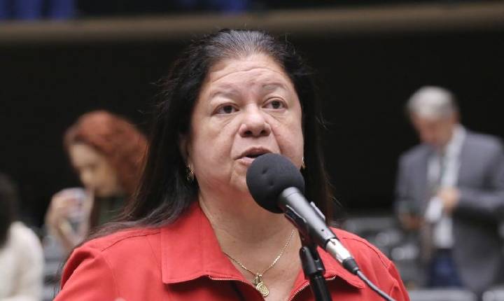 Lei define regras para a guarda compartilhada de pets