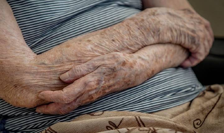 Número de lares com idosos em insegurança alimentar cai em dois anos