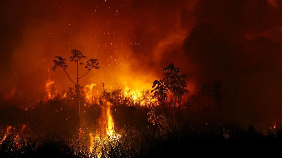 Metade das áreas atingidas pelo fogo no Mato Grosso é do bioma Amazônia