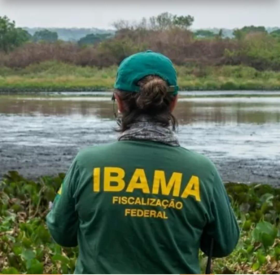 Ibama anuncia concurso com 460 vagas