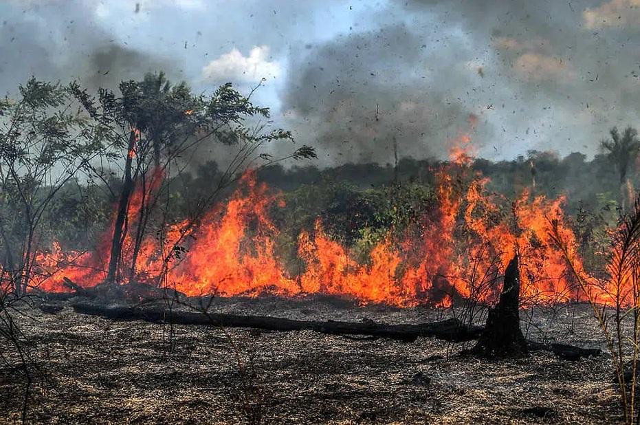 99% dos incêndios são causados por ação humana