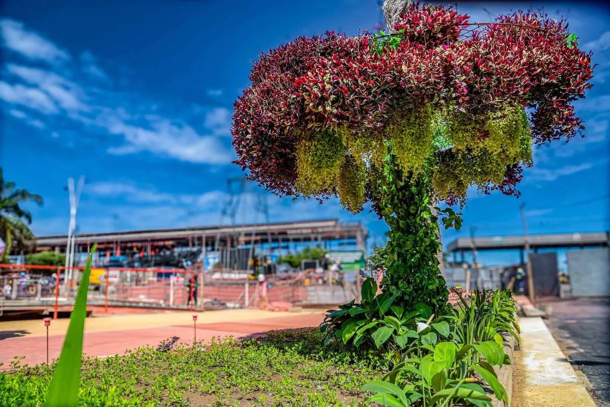 Polêmica nas obras da COP30: ´árvores artificiais' geram críticas em Belém