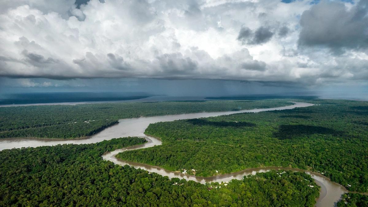 Brasil é o segundo país que mais mata defensores ambientais, aponta novo índice