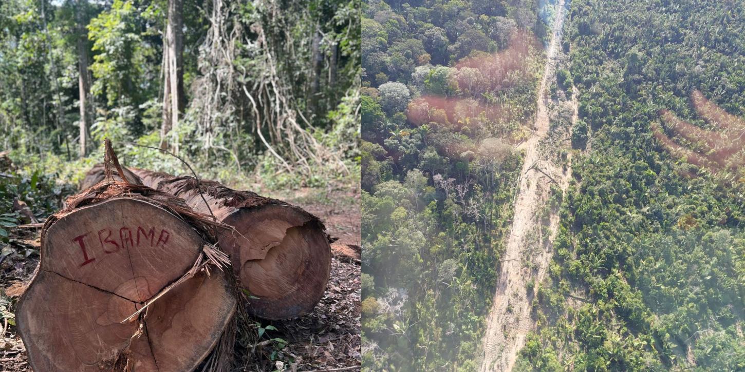 IBAMA intensifica fiscalização na BR-319 e combate desmatamento e abertura de ramais no Amazonas