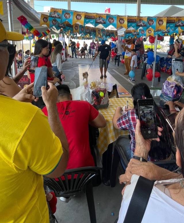 Inscrições para o desfile do Arraial Pet já estão abertas