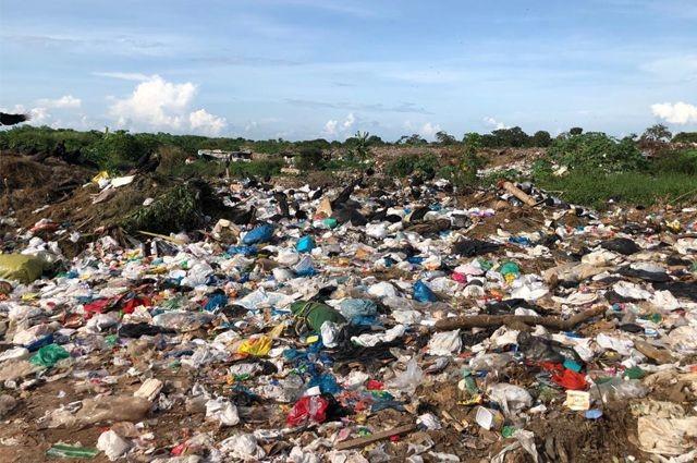 Lixão de Manaus é bomba-relógio ambiental: especialistas alertam para riscos iminentes