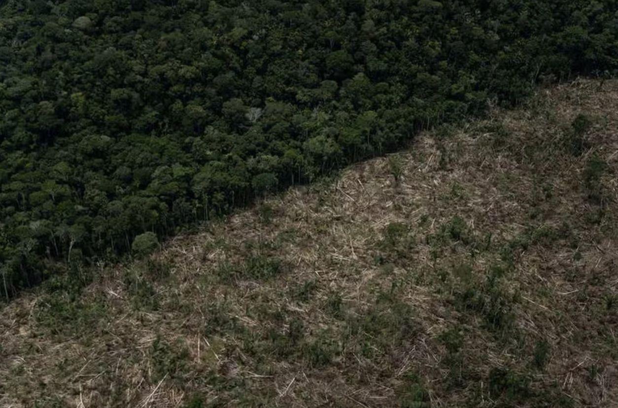 Amazonas lidera desmatamento na Amazônia em junho, aponta Imazon