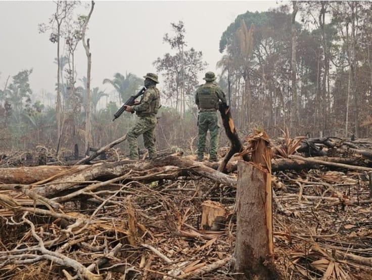 IBAMA realiza vistoria em área de proteção ambiental em Manaus