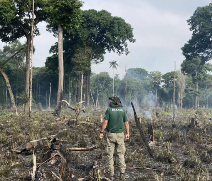 ONU alerta para ‘retrocesso de décadas’ com nova lei do licenciamento ambiental no Brasil