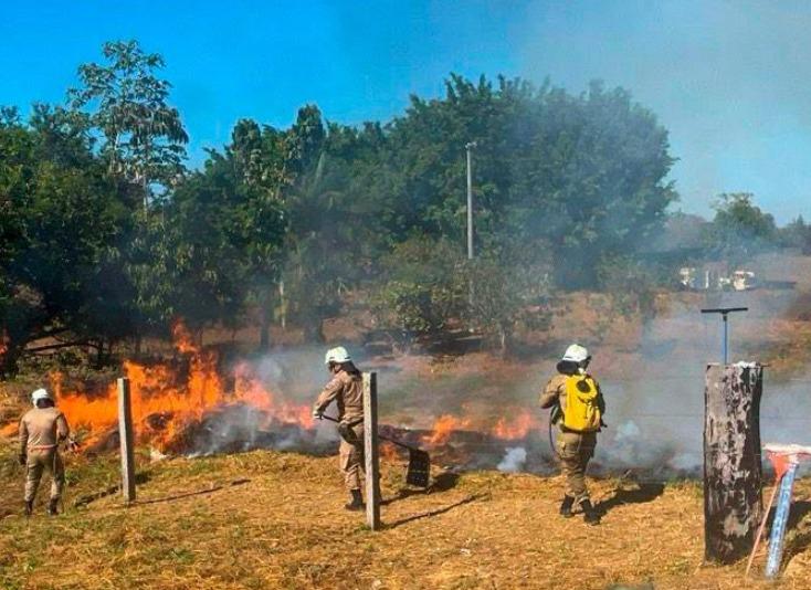 Amazonas reduz em 82% o número de queimadas em agosto, aponta Inpe