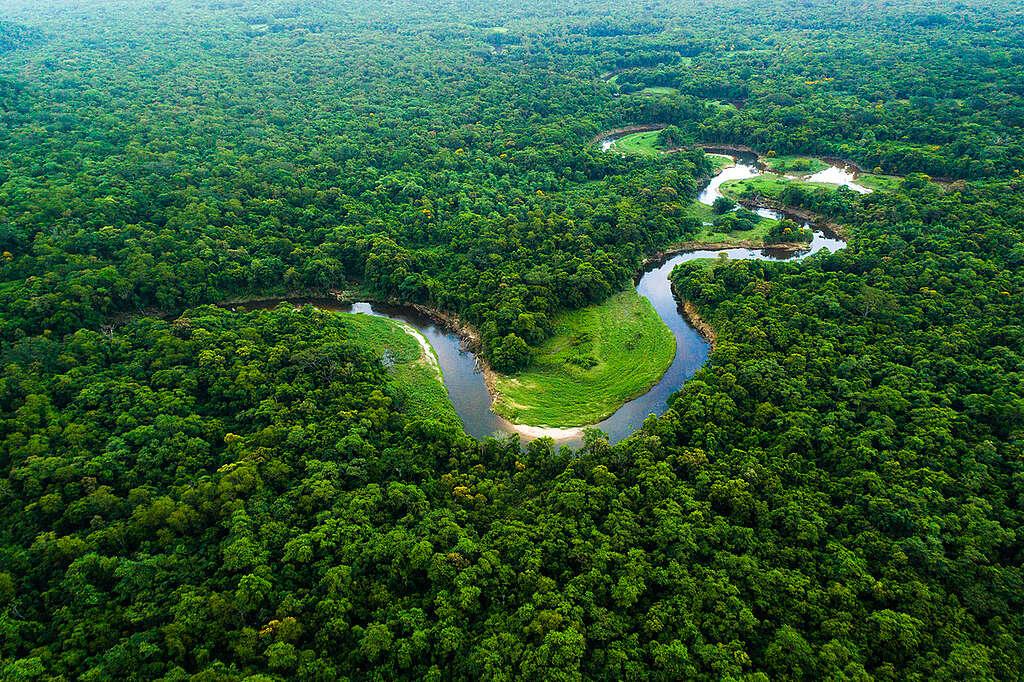 Dia da Amazônia, o coração do Mundo!