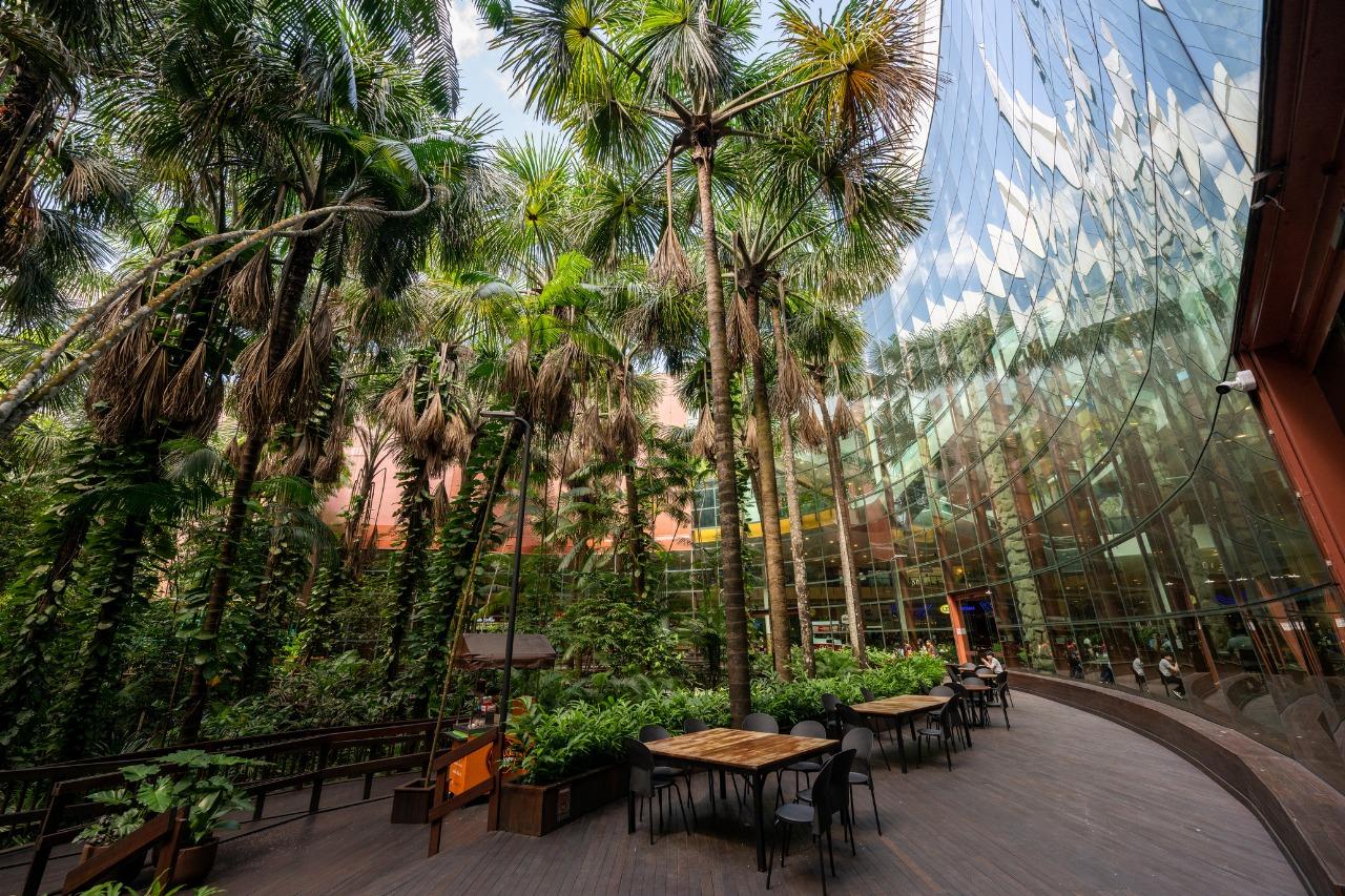 Shopping celebra Dia da Árvore com doação de sementes