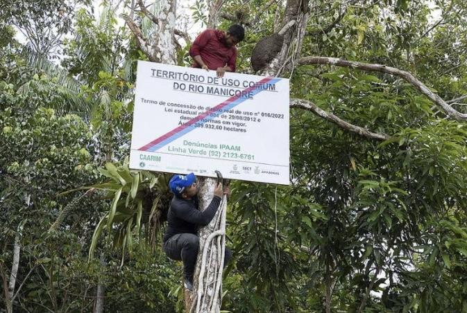 MPF investiga possível exploração ilegal de madeira em território tradicional do Rio Manicoré