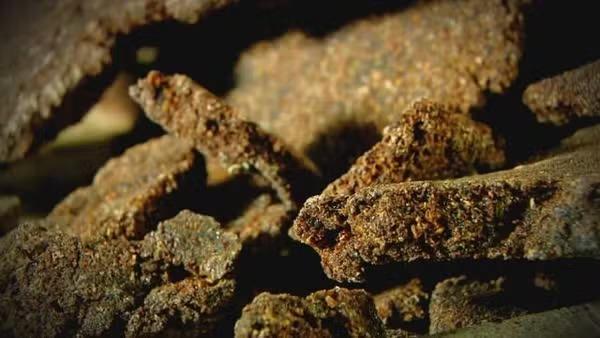 Cocaína negra apreendida em mansão de luxo desafia cães e testes químicos em Manaus