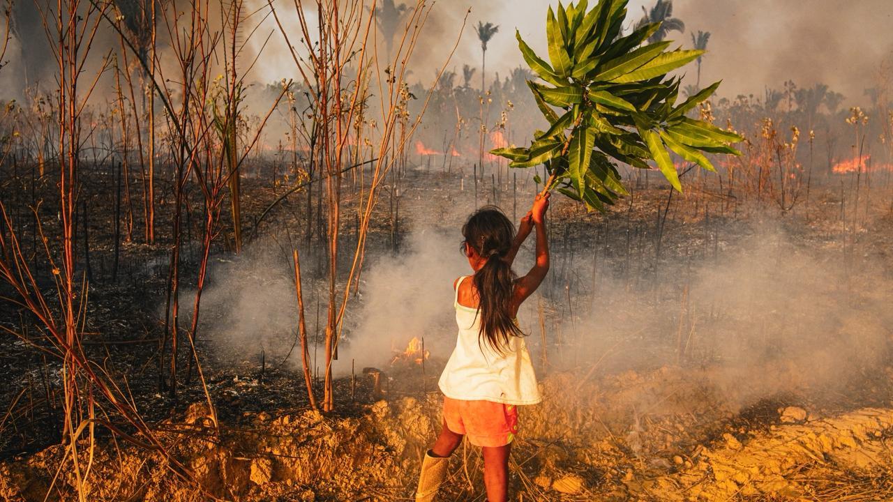 FOTO: CAROLINA COSTA/DIVERSA AM