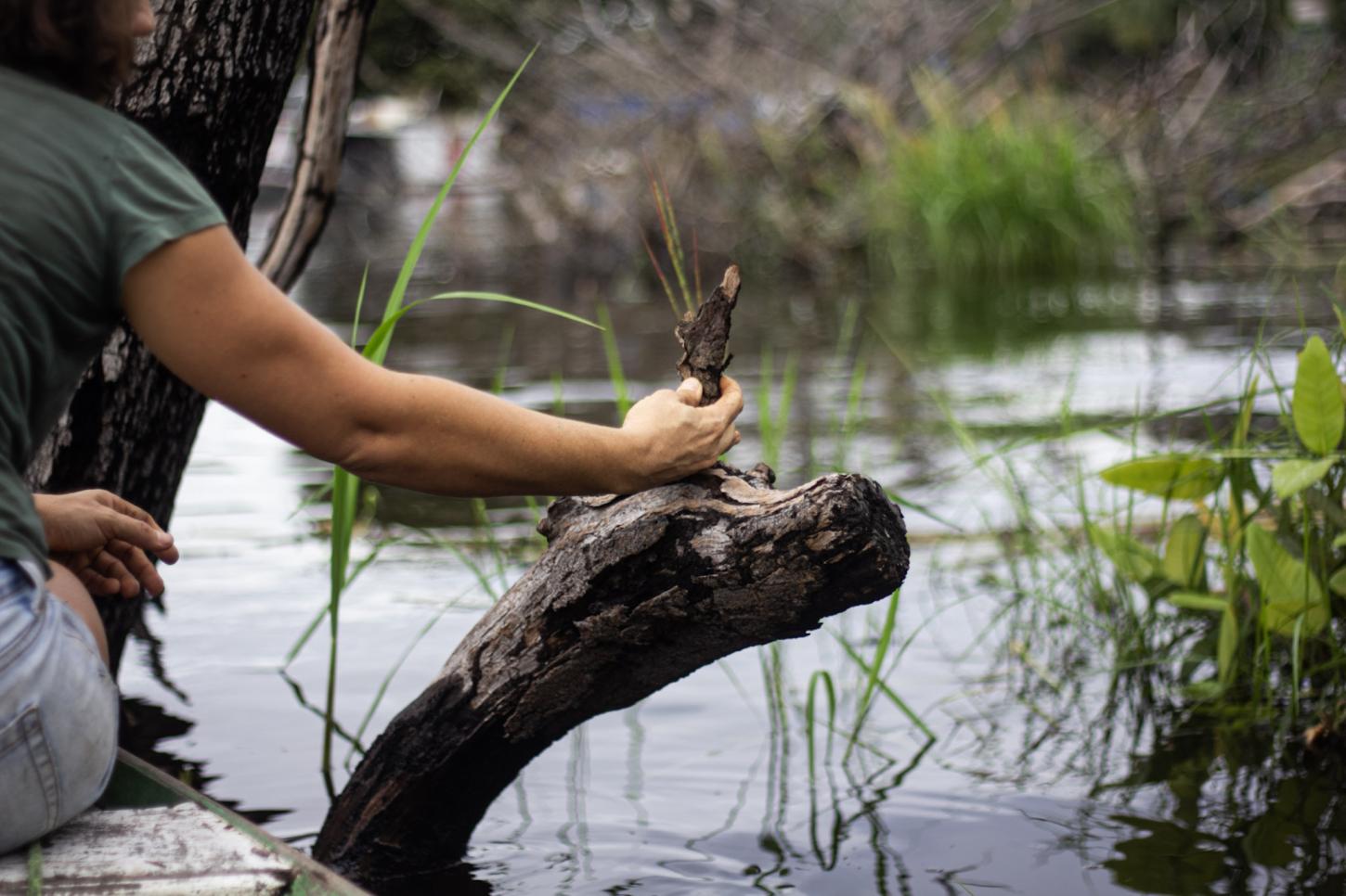 Da seiva ao design: os pequenos negócios que mantêm a floresta em pé e a economia viva